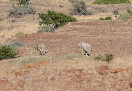 Viajar a /images/places/palmwag.jpg