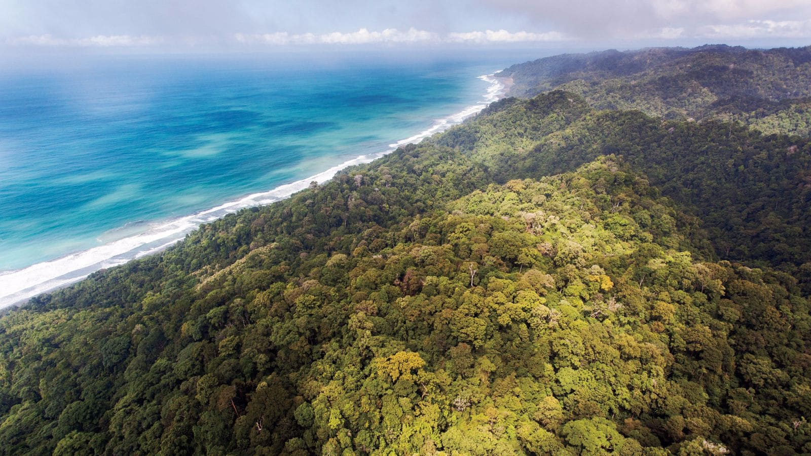 Organizar un viaje a Costa Rica