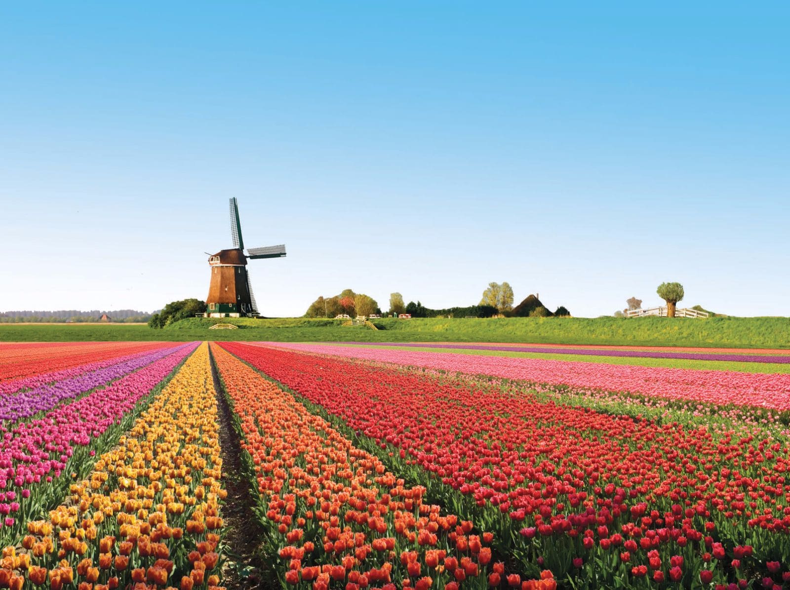 Organizar un viaje a Holanda | tripperzone