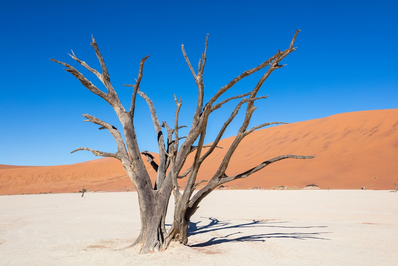 Organizar un viaje a Namibia