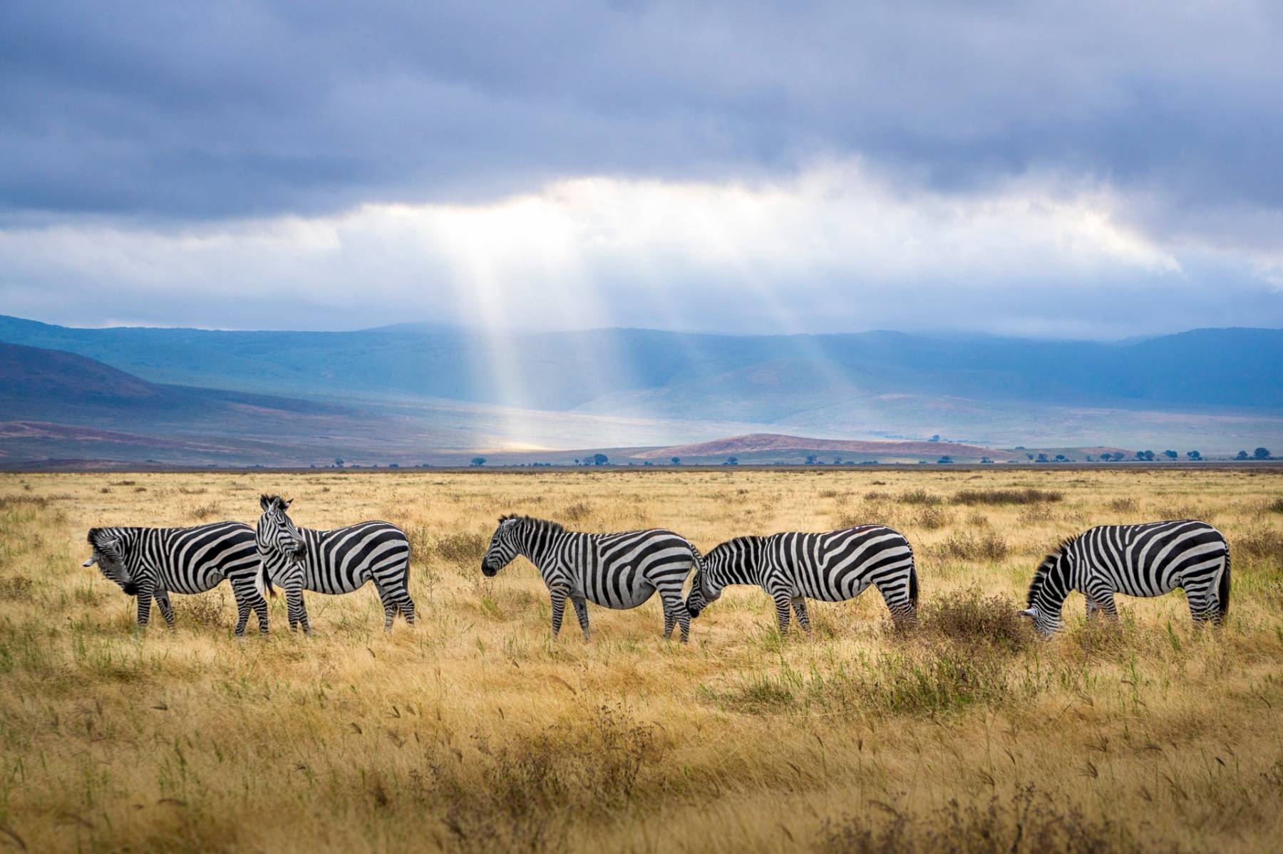 Organizar un viaje a Tanzania