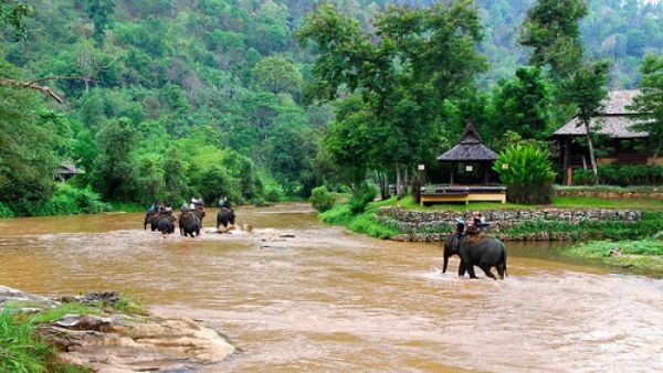 Chiang Mai / Chiang Rai