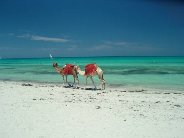 Playas, Buceo... Relax!