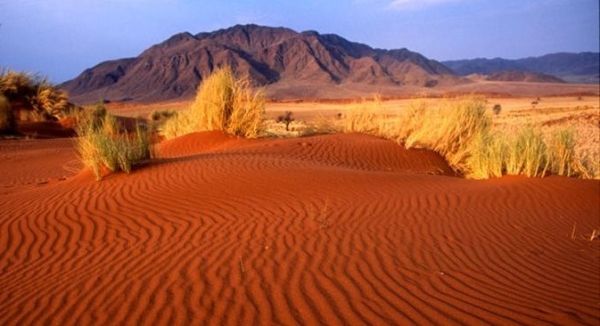 Desierto de Kalahari
