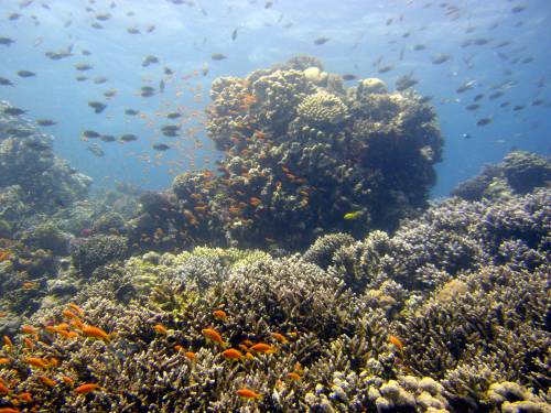 Viajar a /images/places/dahab.jpg