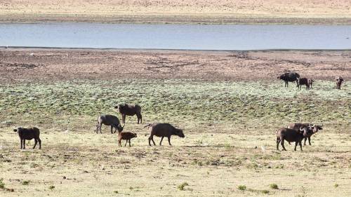 Viajar a /images/places/marsabit-national-park.jpg