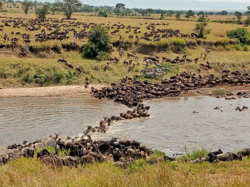 Viajar a /images/places/masai-mara.jpg