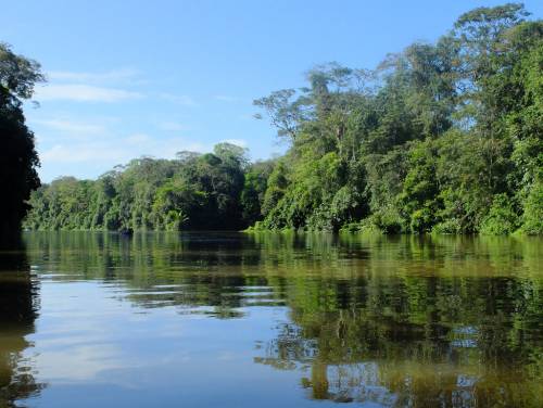 Viajar a /images/places/tortuguero.jpg